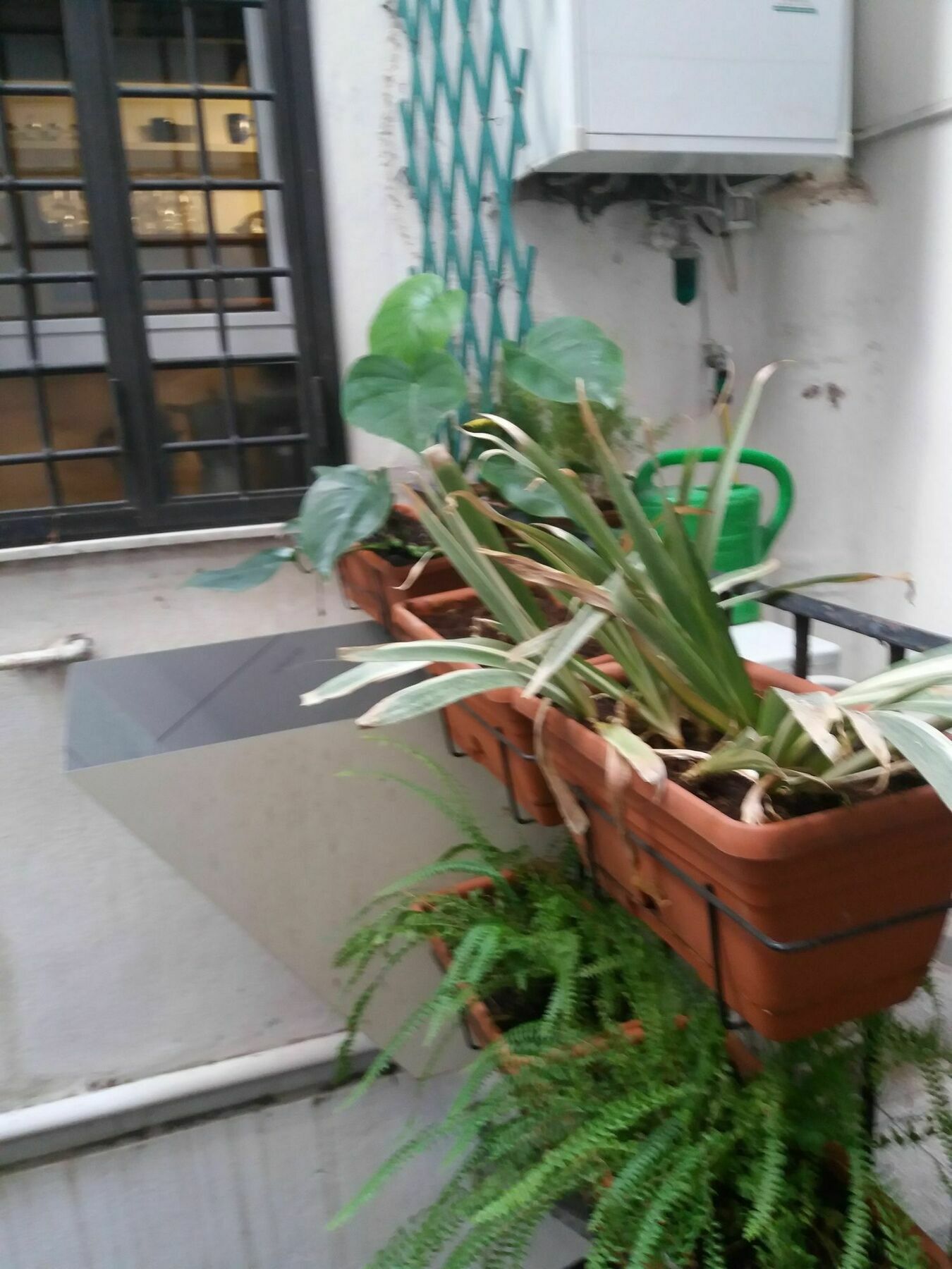 Apartamento Campofiori *